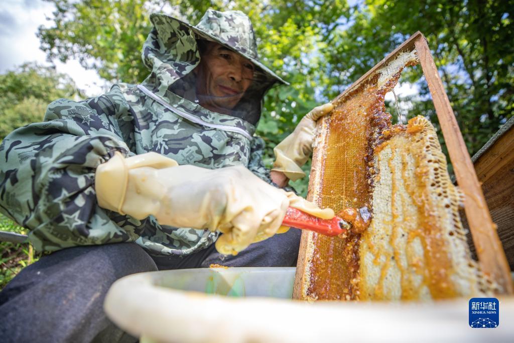澳门百胜